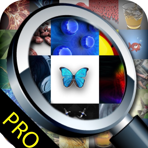 Image Surfer Pro icon
