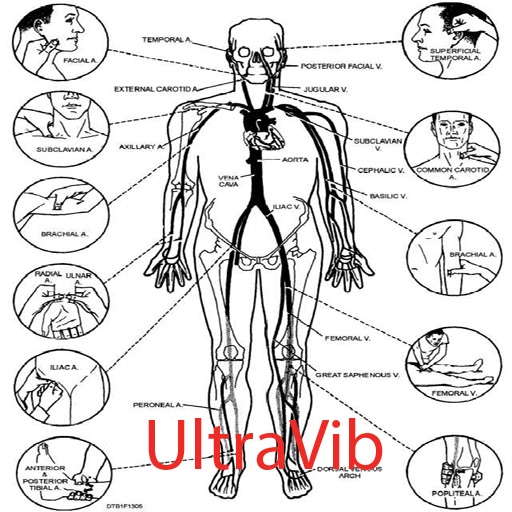 UltraVib - The Ultimate iPhone Vibrating Massage Tool icon