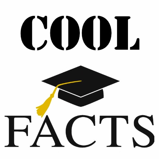 Cool Facts & Secrets icon