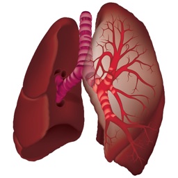 Pulmonary Auscultation