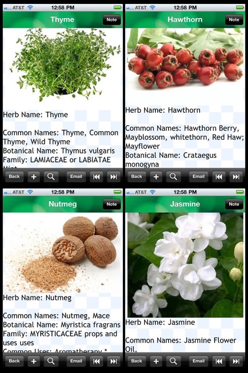 Medicinal Herbs Encyclopedia
