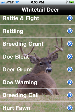 Pro Deer Calls lite screenshot 2