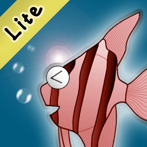 Angel Fish Lite