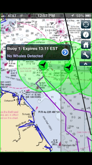 Whale Alert - Ship Strike Reduction for Right Whales(圖2)-速報App