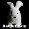 Rabbit Run icon