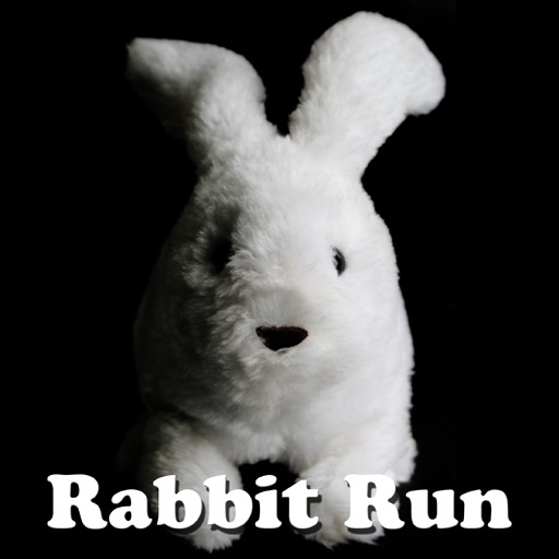 Rabbit Run icon