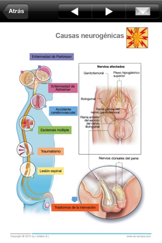 Miniatlas Erectile Dysfunction screenshot 3