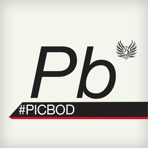 #PICBOD 2012 icon