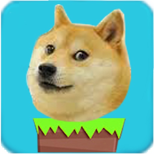Doge JumpUp Icon
