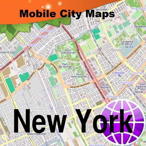 New York Street Map. icon