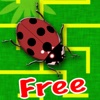 Ladybug Maze Free