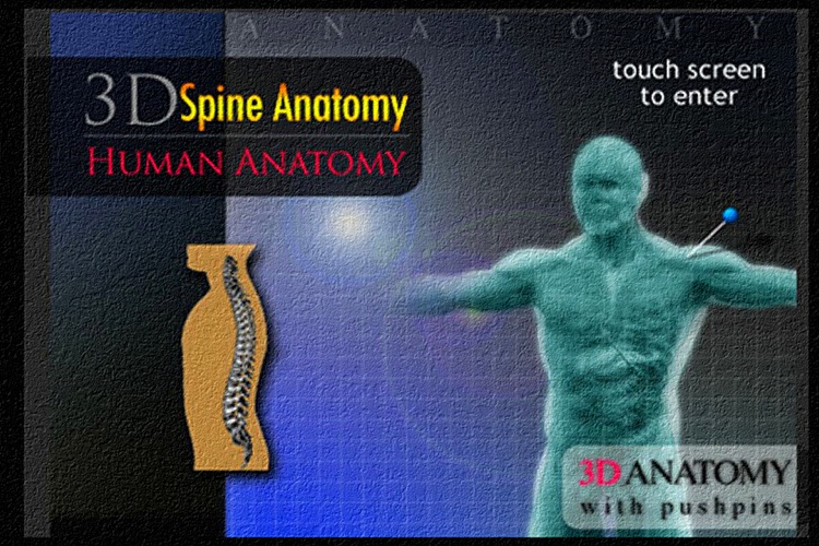 Anatomy Spine 3D