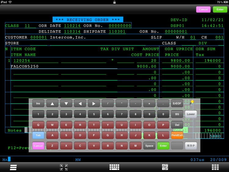 FALCON 5250 for iPad LITE