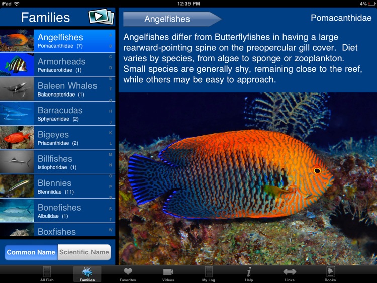 Reef Fish Hawaii HD