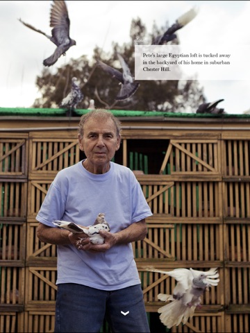 On Magazine Issue One: On Pigeons screenshot 4