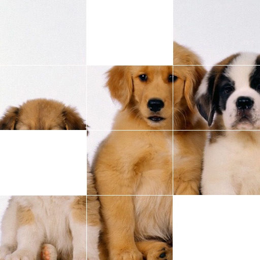 Beautiful Puppies Puzzle icon