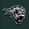 Green Bay Blizzard