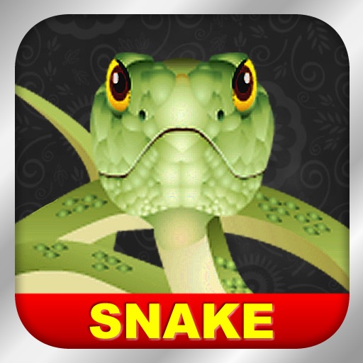 Snake Pro