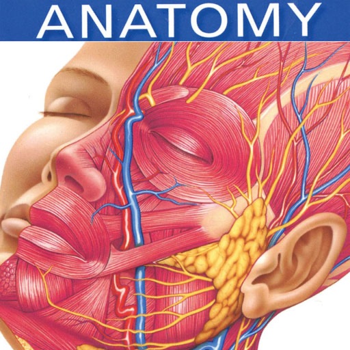 Anatomy Flashcards, 2nd ed. icon
