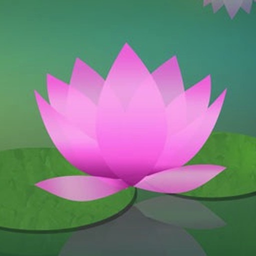 Learn to Meditate - Meditation Without Borders