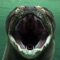 Titanoboa is the biggest, baddest boa ever discovered and now you're in control of this massive prehistoric creature