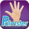 Palmster