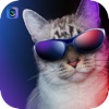 My Kitty Camera: Snap, Organize & Share your favorite Cat & Kitten photos!