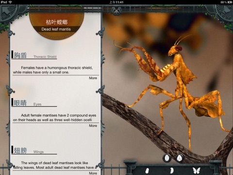 Bug Zoo HD screenshot 4