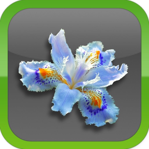 Flowers~ [send lovely roses, sunflowers, tulips] iOS App