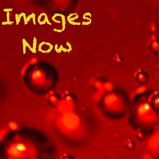 Images Now icon