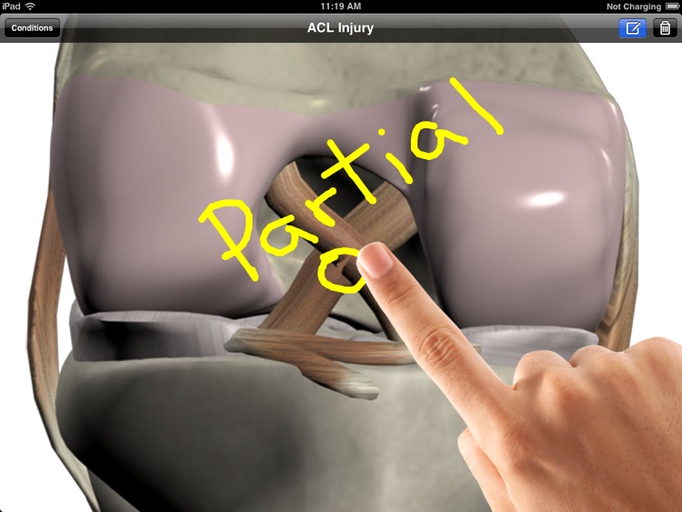 3D Consultation