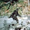 Finally the Bigfoot Camera Prank App has arrived
