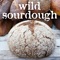 Wild Sourdough