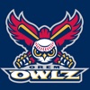 Orem Owlz