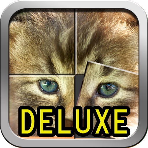 Cute kittens and puppies puzzles - Deluxe