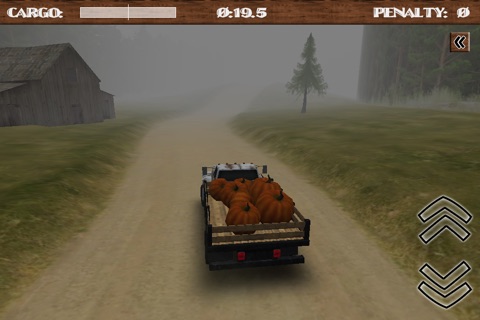 Dirt Road Trucker 3D screenshot 3