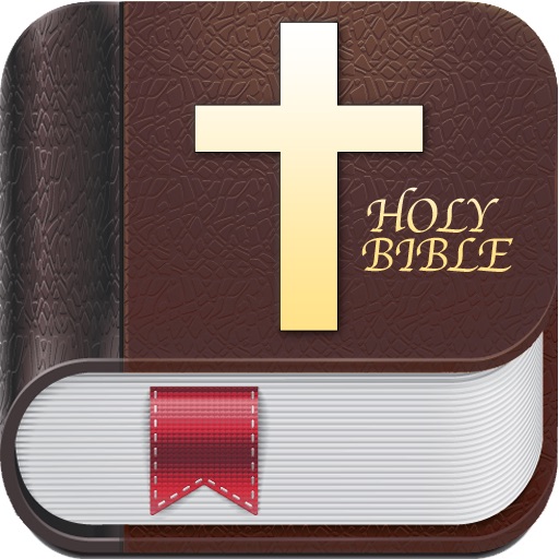 Holy Bible+ icon