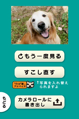スライドショー作成アプリ「わが輩は、犬」思い出ぽん！ screenshot 4