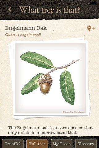 Arbor Day Tree Identification Guide: What Tree ... screenshot 3