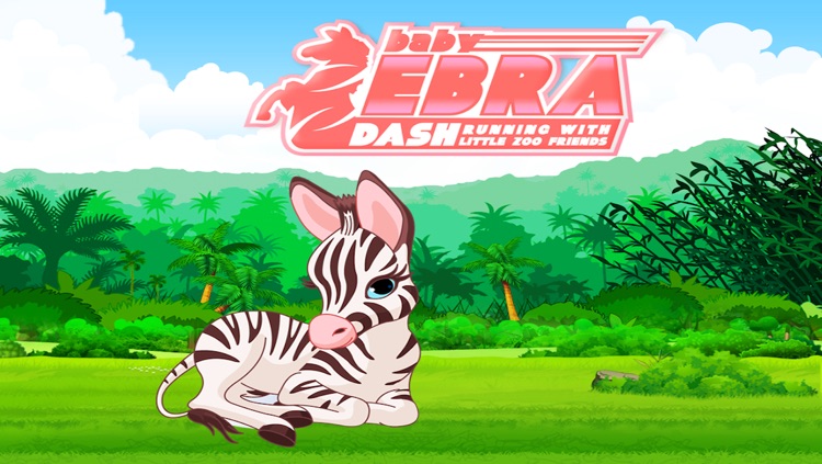 Baby Zebra Dash : Running With Little Zoo Buddies