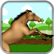 Activities of Horse Hurdle