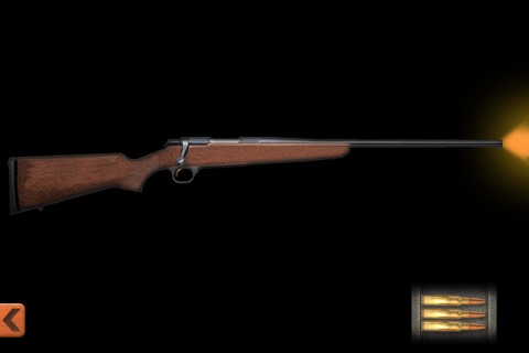 Hunting Rifles & Weapons