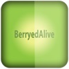 BerryedAlive