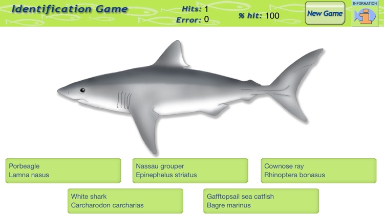 Game Fish Identification