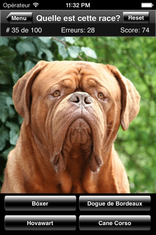 Dog Breed Quiz screenshot 2