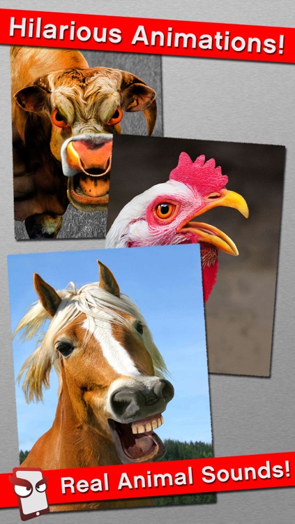 AngryFarm Free - The Angry Farm Animal Simulator