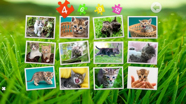 Cats puzzle - fun for kids(圖5)-速報App