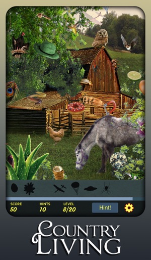 Hidden Object - Country Living(圖5)-速報App