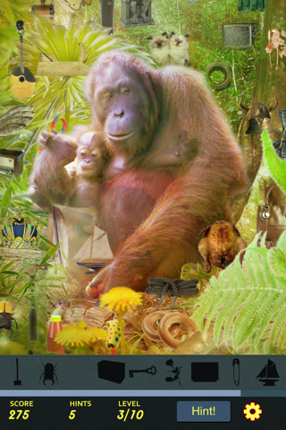 Hidden Object - Endangered Wildlife screenshot 3