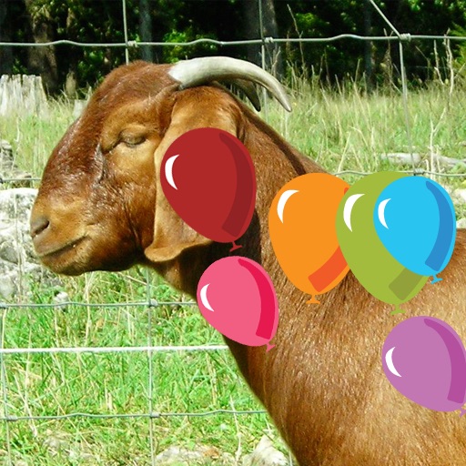 Farm Animals Balloons Pop For Kids icon